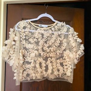 Zara Tulle Crop Top!!